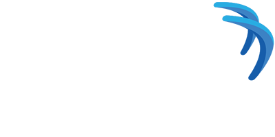 Cyara Academy