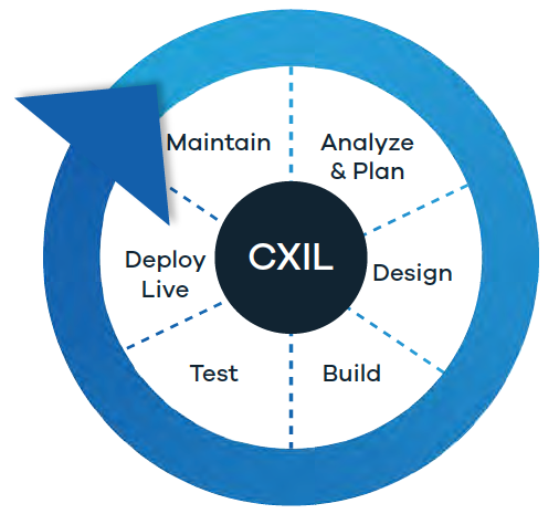 CXIL wheel: Analyze & plan,  design, build, test, deploy, maintain
