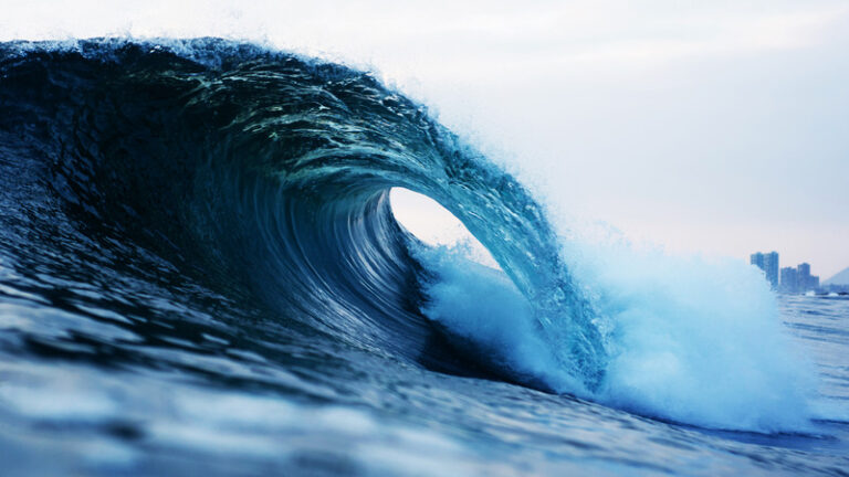 Ocean wave, looking through the curl