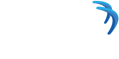 Cyara Academy